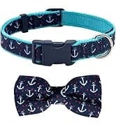 Reflective Dog Collar — Neoprene Padded Small Dog Collar — collection imagery