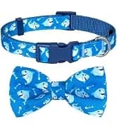 Reflective Dog Collar — Neoprene Padded Small Dog Collar — collection imagery