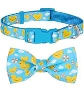 Reflective Dog Collar — Neoprene Padded Small Dog Collar — collection imagery