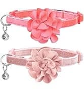 Reflective Dog Collar — Neoprene Padded Small Dog Collar — collection imagery