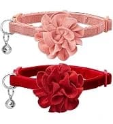Reflective Dog Collar — Neoprene Padded Small Dog Collar — collection imagery