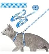 Reflective Dog Collar — Neoprene Padded Small Dog Collar — collection imagery