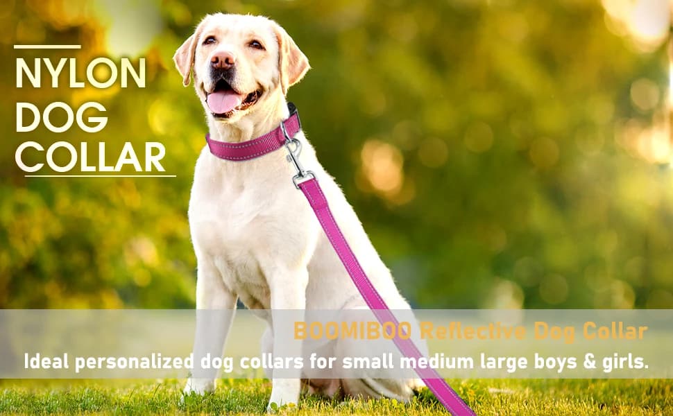 Reflective Dog Collar — Puppy Collar with Buckle Adjustable — product details