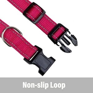 Reflective Dog Collar — Puppy Collar with Buckle Adjustable — collection imagery