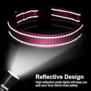 Reflective Dog Collar — Puppy Collar with Buckle Adjustable — collection imagery
