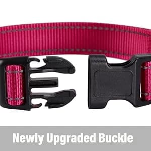 Reflective Dog Collar — Puppy Collar with Buckle Adjustable — collection imagery