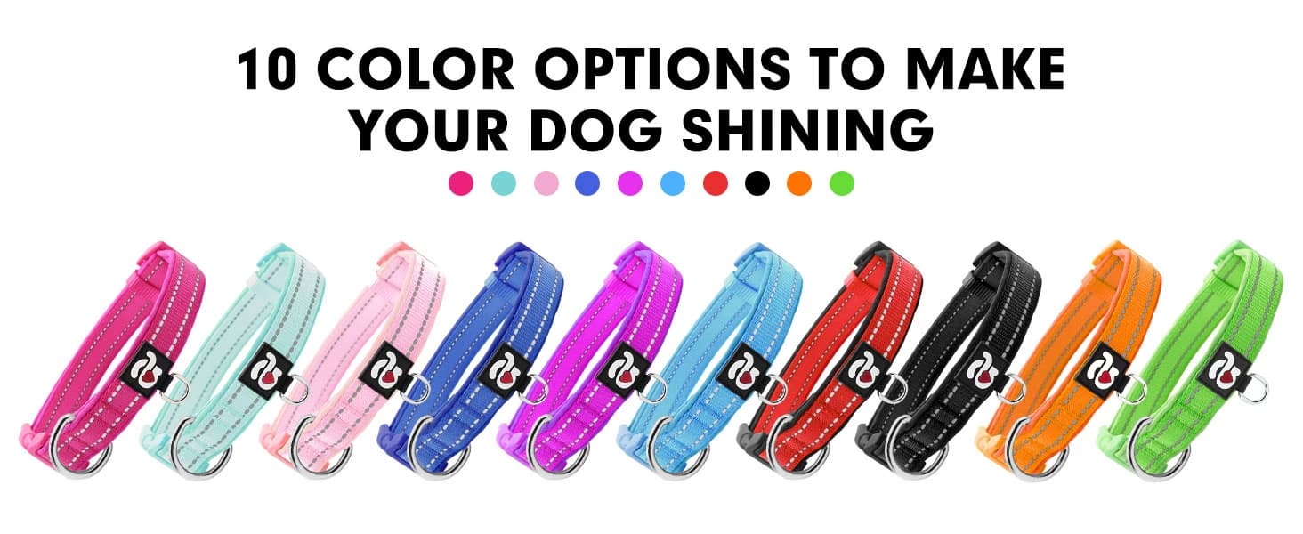 Reflective Dog Collar — Neoprene Padded Small Dog Collar — product details