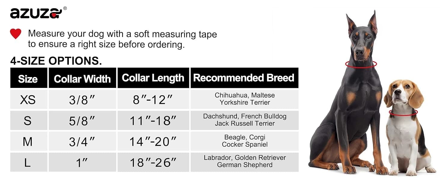 Reflective Dog Collar — Neoprene Padded Small Dog Collar — product details