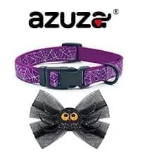 Reflective Dog Collar — Neoprene Padded Small Dog Collar — collection imagery