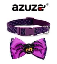Reflective Dog Collar — Neoprene Padded Small Dog Collar — collection imagery