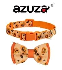 Reflective Dog Collar — Neoprene Padded Small Dog Collar — collection imagery