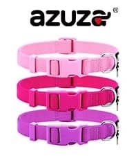 Reflective Dog Collar — Neoprene Padded Small Dog Collar — collection imagery