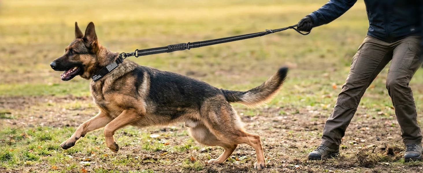 Tactical Dog Collar for Large Dogs — Traffic Control Handle — product details