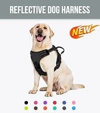 Tactical Dog Collar for Large Dogs — Traffic Control Handle — collection imagery
