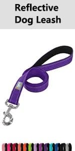Reflective Dog Collar — Adjustable Nylon for Medium Dogs — product details