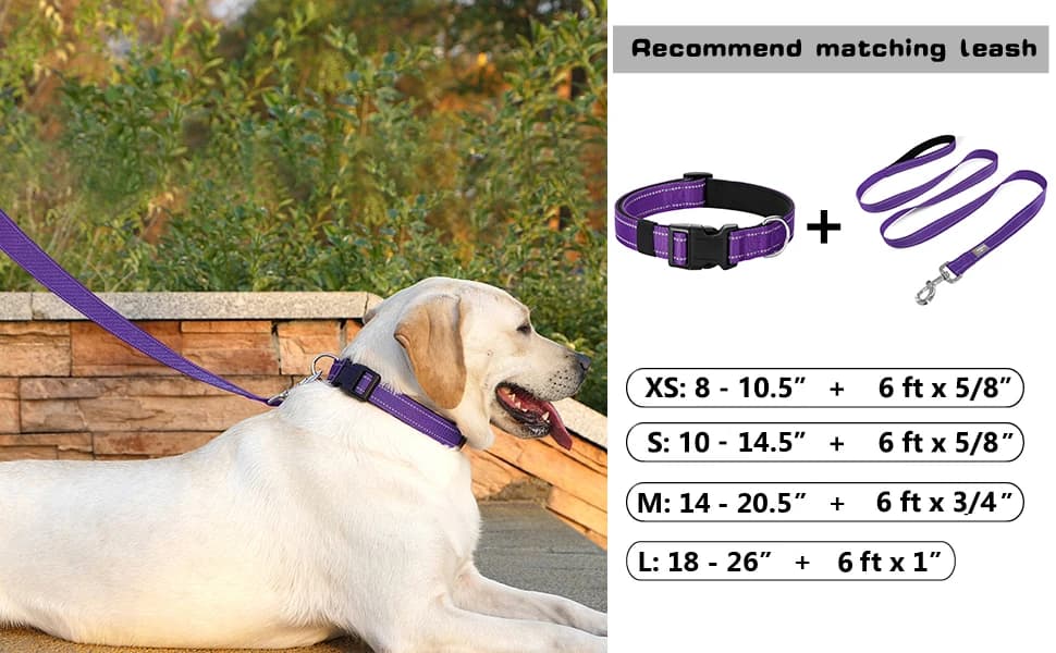 Reflective Dog Collar — Adjustable Nylon for Medium Dogs — product details