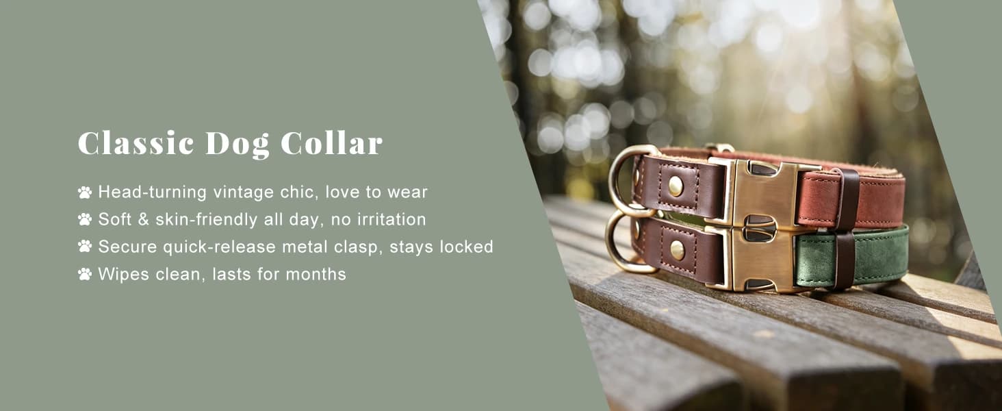 PU Leather Dog Collar for Medium Dogs — Soft Nylon Lining — product details