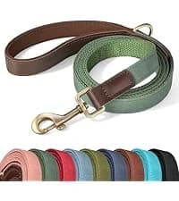 PU Leather Dog Collar for Medium Dogs — Soft Nylon Lining — collection imagery