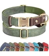 PU Leather Dog Collar for Medium Dogs — Soft Nylon Lining — collection imagery