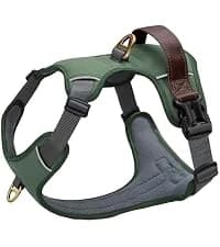 PU Leather Dog Collar for Medium Dogs — Soft Nylon Lining — collection imagery