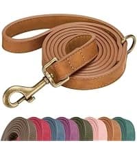 PU Leather Dog Collar for Medium Dogs — Soft Nylon Lining — collection imagery