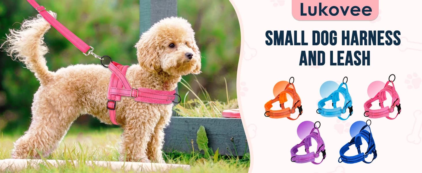 Small Dog Harness and Leash Set — product details