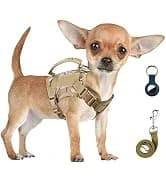 Tactical Dog Harness for Small Dogs with Handle — Military Service Dog Vest and Leash Set for Outdoor Training — collection imagery