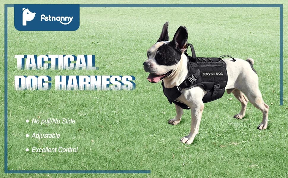 Tactical Dog Harness Service Vest for Medium Dogs Black M — Why Choose Tactical Dog Harness?