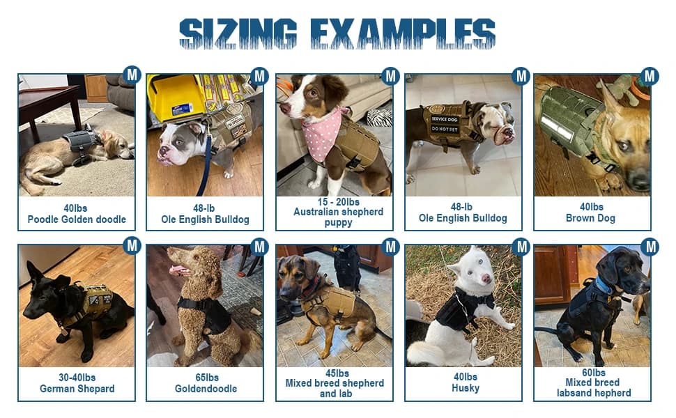 Tactical Dog Harness Service Vest for Medium Dogs Black M — product details