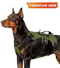 Tactical Dog Harness for Large Dogs — collection imagery