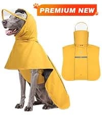 Tactical Dog Harness for Large Dogs — collection imagery