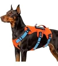 Tactical Dog Harness for Large Dogs — collection imagery
