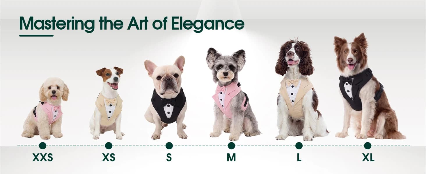 Dog Tuxedo Harness — Pet Harness No Pull for Small and Medium Dogs — A Little Outfit for Big Moments