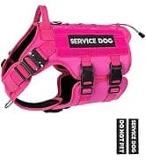 Tactical Dog Harness Service Vest for Medium Dogs Black M — collection imagery