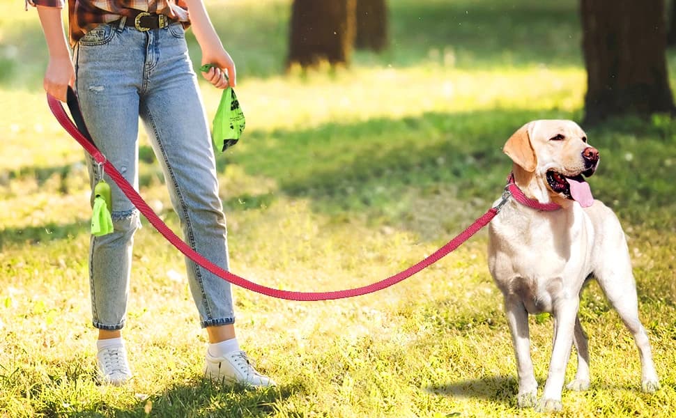 Reflective Dog Leash for Medium and Large Dogs — product details