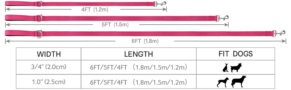 Reflective Dog Leash for Medium and Large Dogs — collection imagery