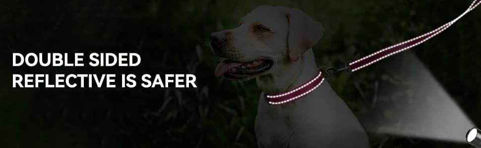 Reflective Dog Leash for Medium and Large Dogs — collection imagery