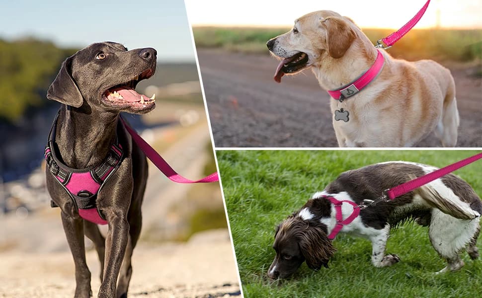 Reflective Dog Leash for Medium and Large Dogs — product details
