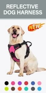 Reflective Dog Leash for Medium and Large Dogs — product details