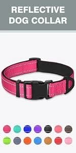 Reflective Dog Leash for Medium and Large Dogs — product details