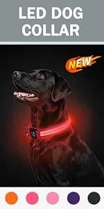 Reflective Dog Leash for Medium and Large Dogs — product details