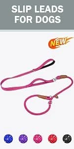 Reflective Dog Leash for Medium and Large Dogs — product details