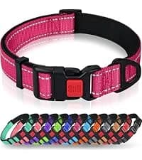 Rope Dog Leash for Medium and Large Dogs — collection imagery