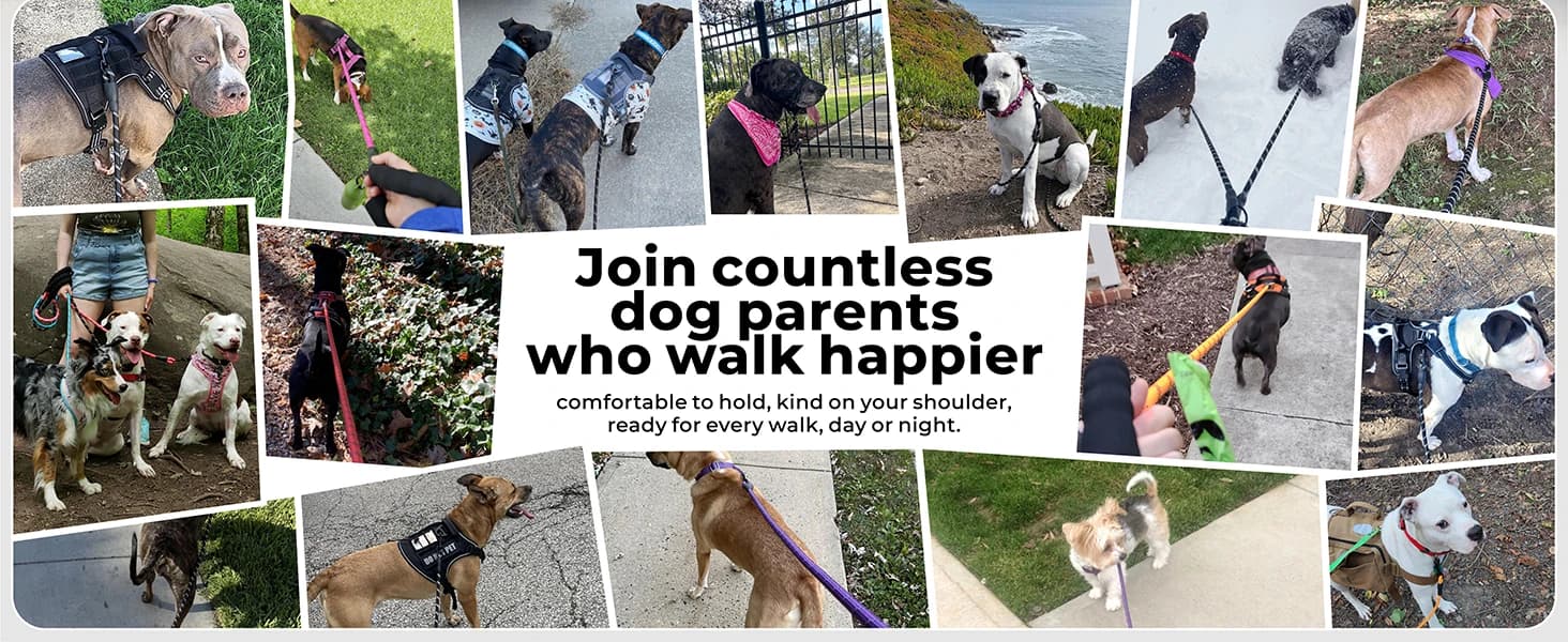 Rope Dog Leash for Medium and Large Dogs — product details