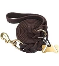 Rope Dog Leash for Medium and Large Dogs — collection imagery