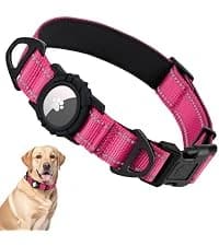 Rope Dog Leash for Medium and Large Dogs — collection imagery
