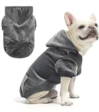 Dog Leash for Large Dogs — 5FT Heavy Duty Rope Leash Bulk — collection imagery