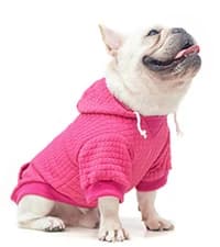 Dog Leash for Large Dogs — 5FT Heavy Duty Rope Leash Bulk — collection imagery