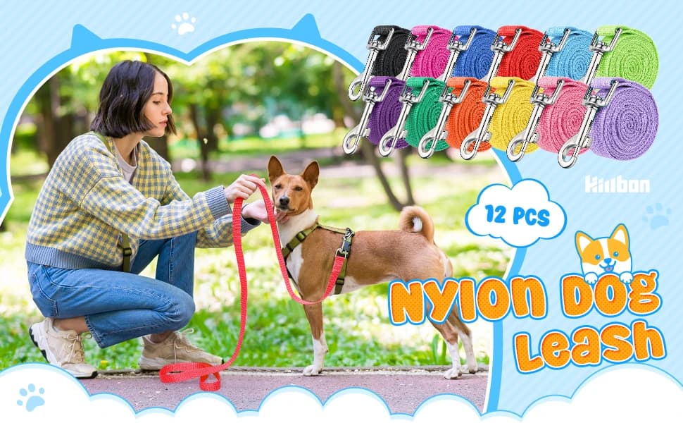 24 Pack Nylon Dog Training Leash Bulk 5 ft — product details
