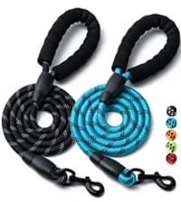 2 Pack Dog Leash — Heavy Duty Nylon Rope Pet Leashes — collection imagery